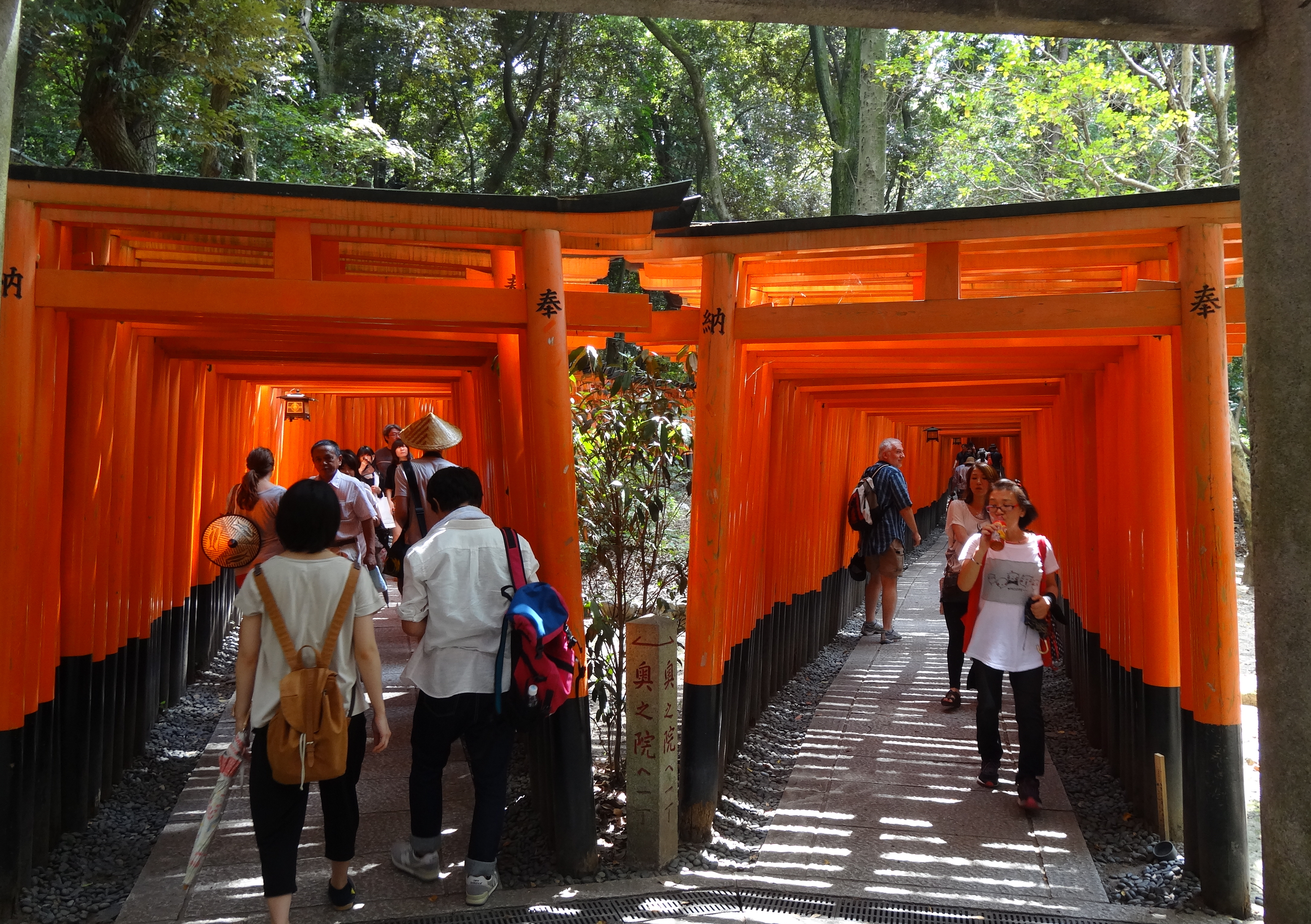 10 fushimi inari double tunnel