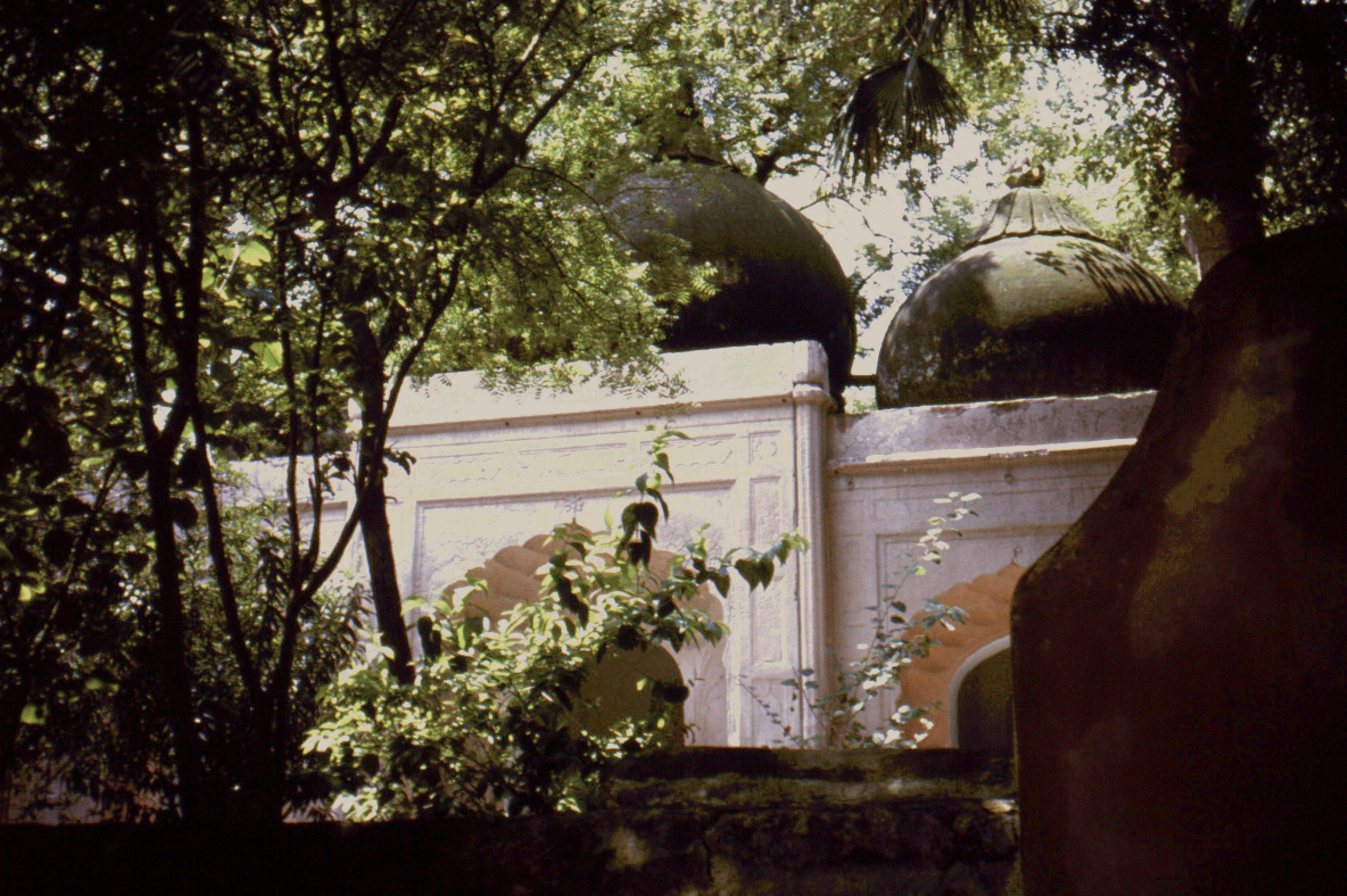 qutb minar domes.jpg