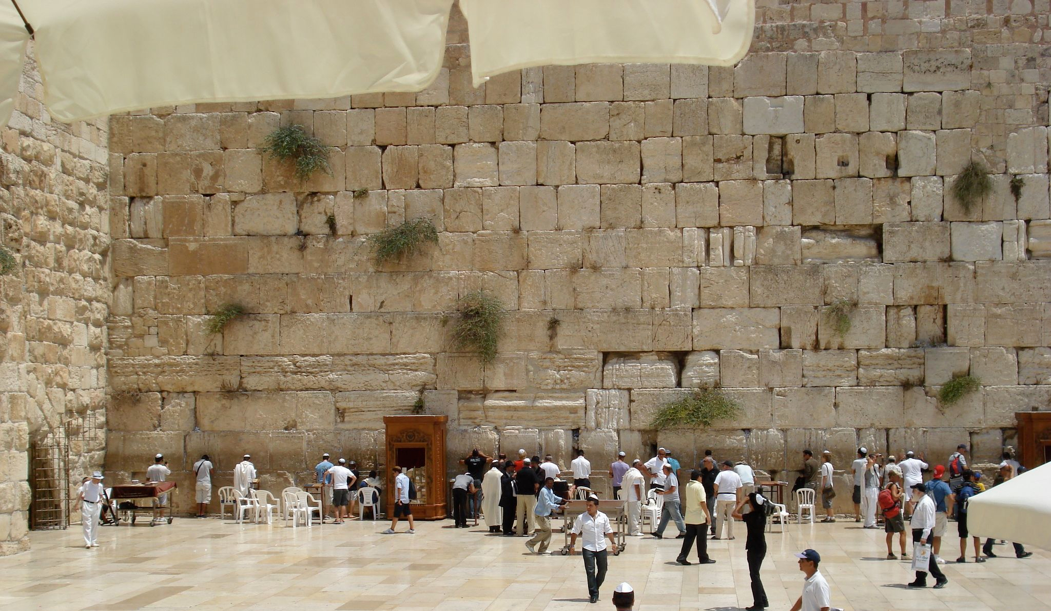 72 - parte degli uomini