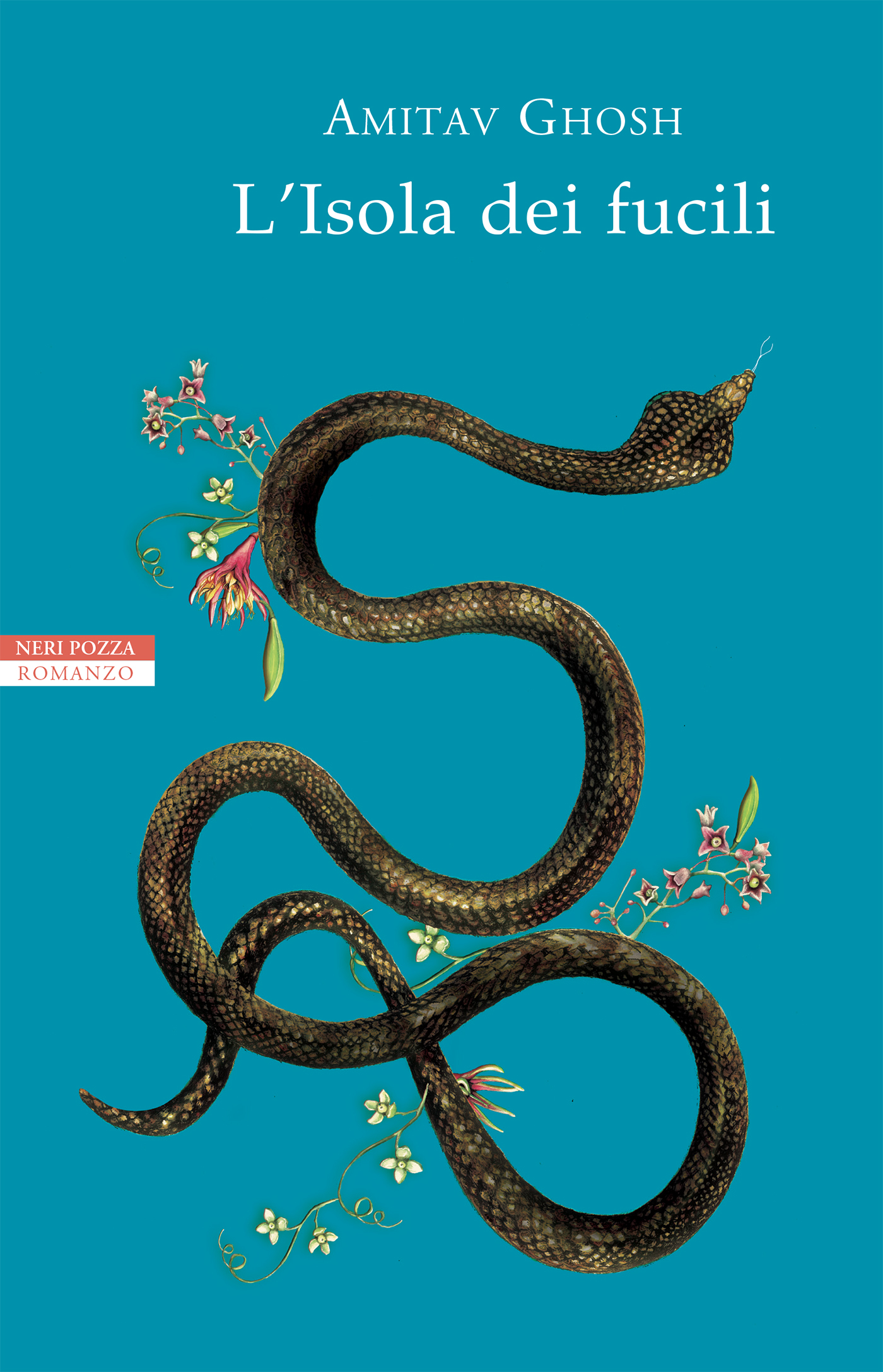 isola dei fucili 01.jpg